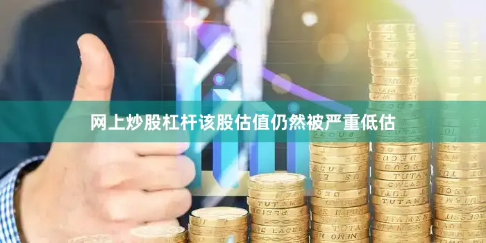网上炒股杠杆该股估值仍然被严重低估