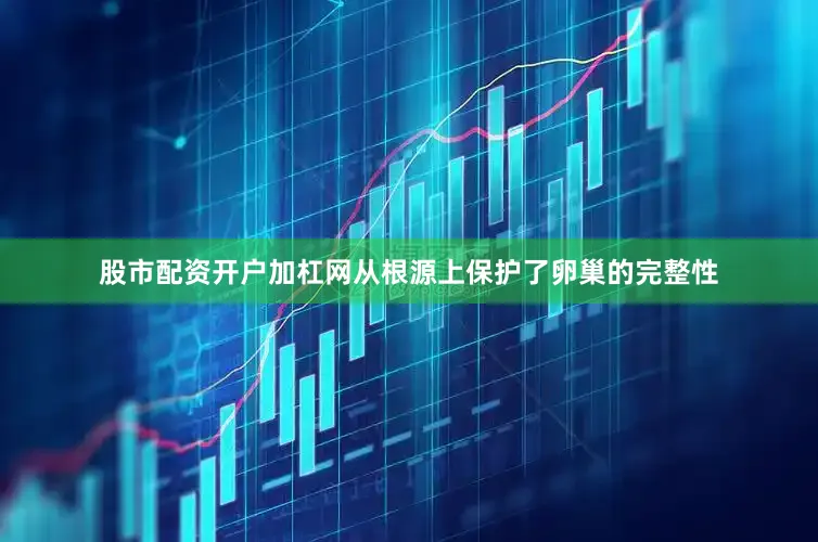 股市配资开户加杠网从根源上保护了卵巢的完整性
