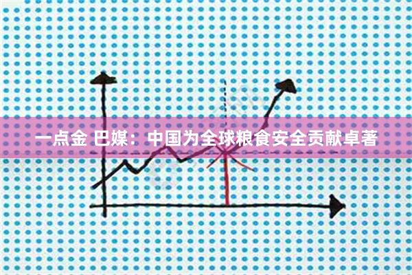 一点金 巴媒：中国为全球粮食安全贡献卓著