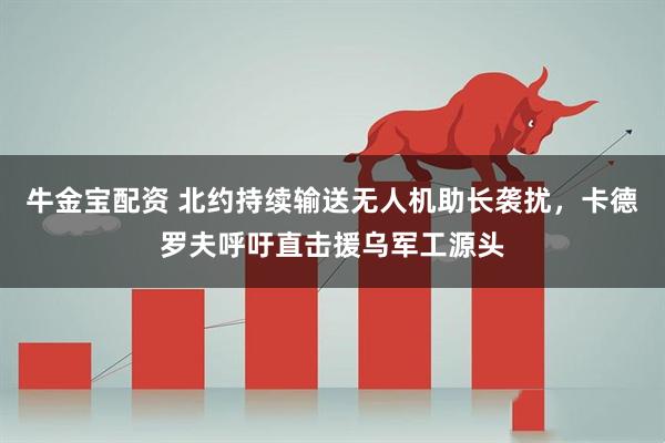 牛金宝配资 北约持续输送无人机助长袭扰，卡德罗夫呼吁直击援乌军工源头
